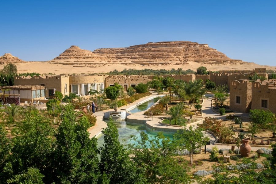 🌴  Siwa Shali Resort 🌴